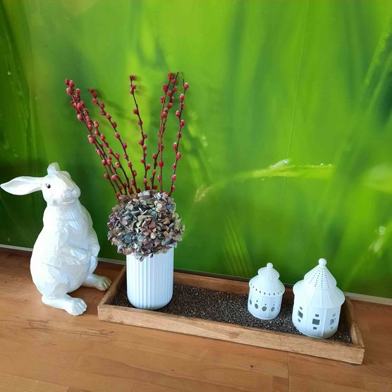 Bild von Momokratze Bild von Momokratze