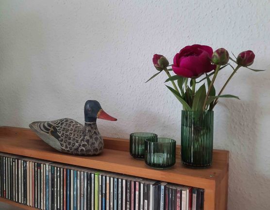 Bild von Momokratze Bild von Momokratze