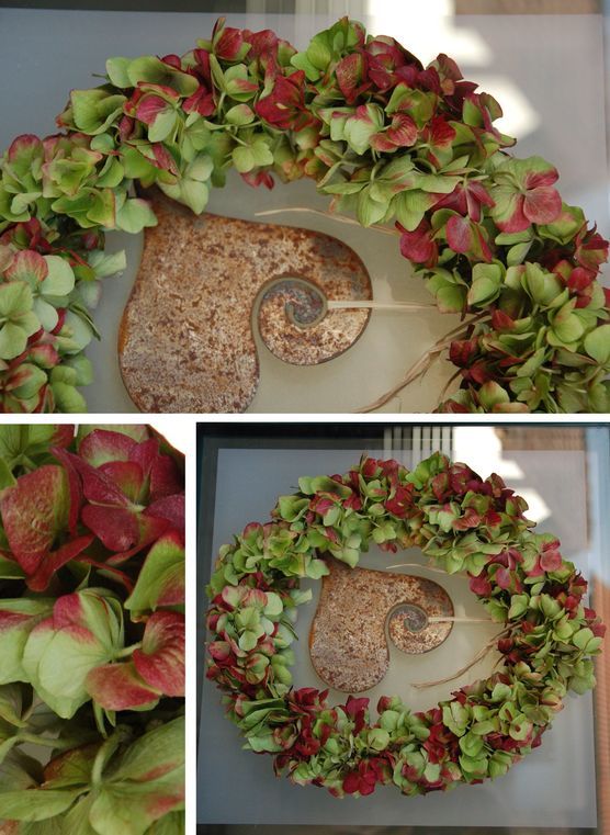 Hortensienkranz Hortensienkranz