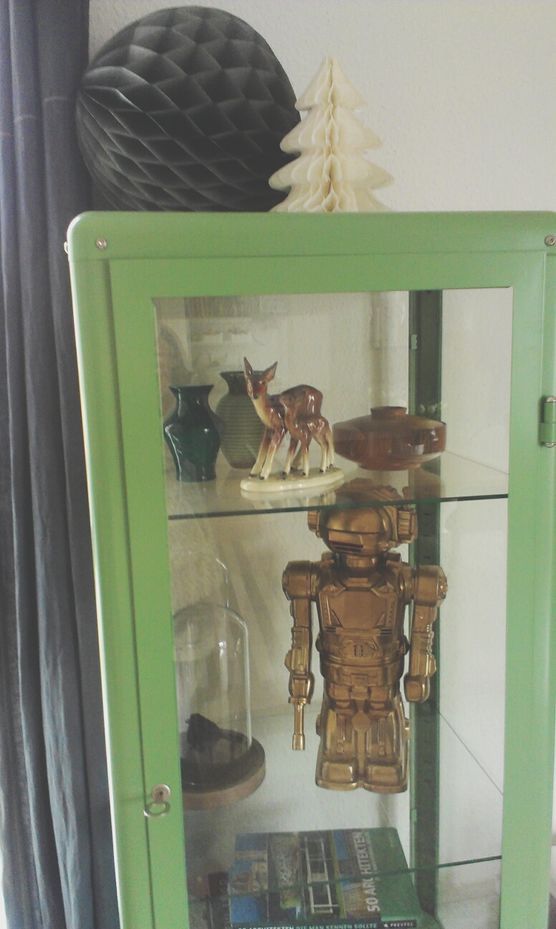 Vitrineneinblick Vitrineneinblick