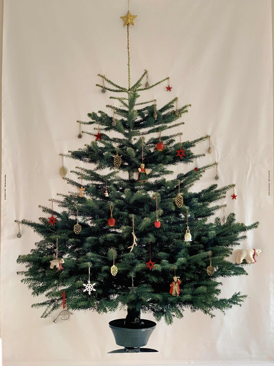 Bild von bungalowoman Bild von bungalowoman