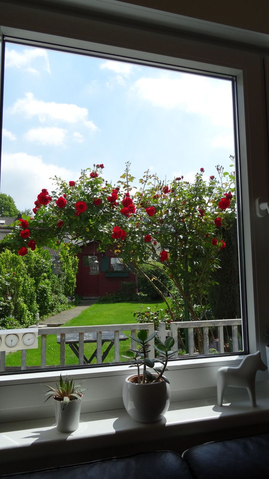 Kaum waren die Fenster Kaum waren die Fenster