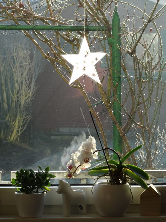 Liebe SLI'ler, ich wünsche Liebe SLI'ler, ich wünsche