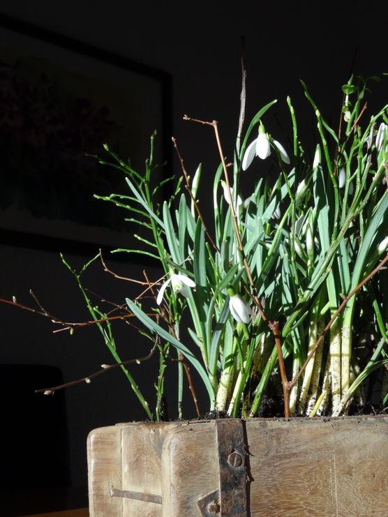 Heute den Frühling aus Heute den Frühling aus