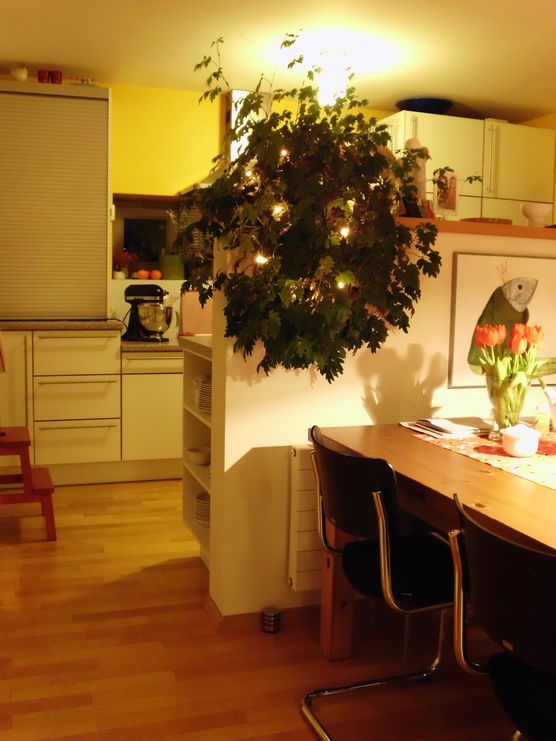 Küche kucken Küche kucken