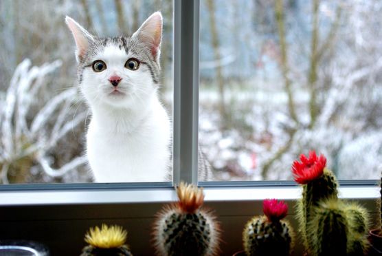 Keiner Zuhause? Keiner Zuhause?