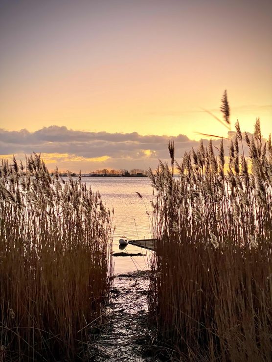 Bild von knustkind Bild von knustkind