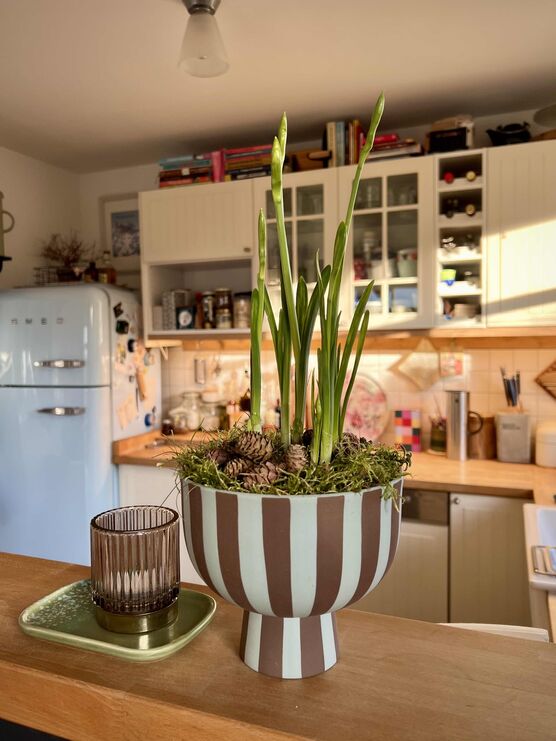 Bild von knustkind Bild von knustkind