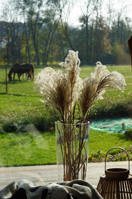 Bild von CarlineG. Bild von CarlineG.