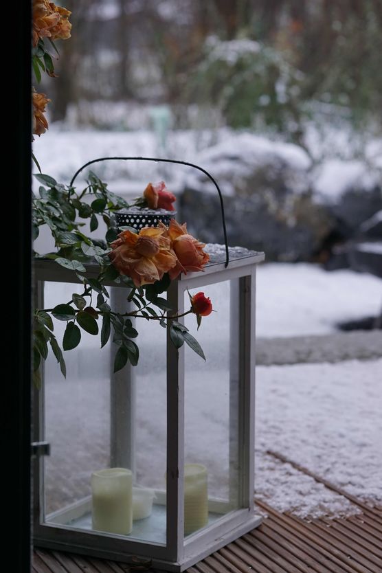 Bild von CarlineG. Bild von CarlineG.