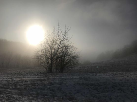 Bild von CarlineG. Bild von CarlineG.