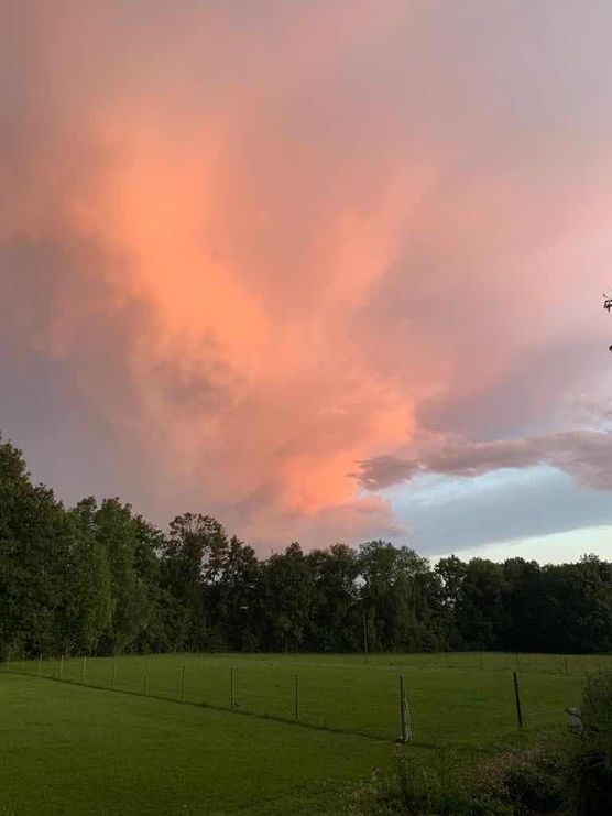 Bild von CarlineG. Bild von CarlineG.