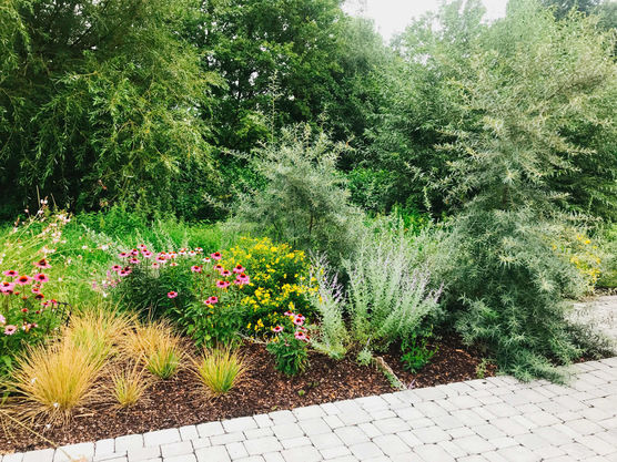 Bild von CarlineG. Bild von CarlineG.