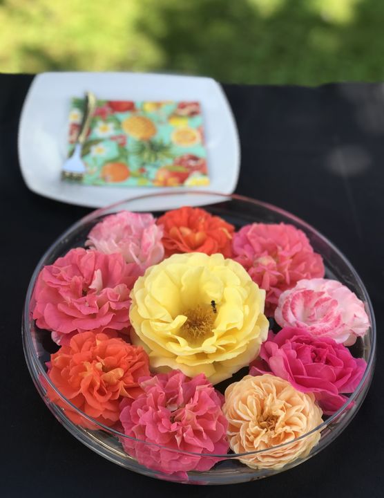 Rosen-Potpourri - der Juni Rosen-Potpourri - der Juni