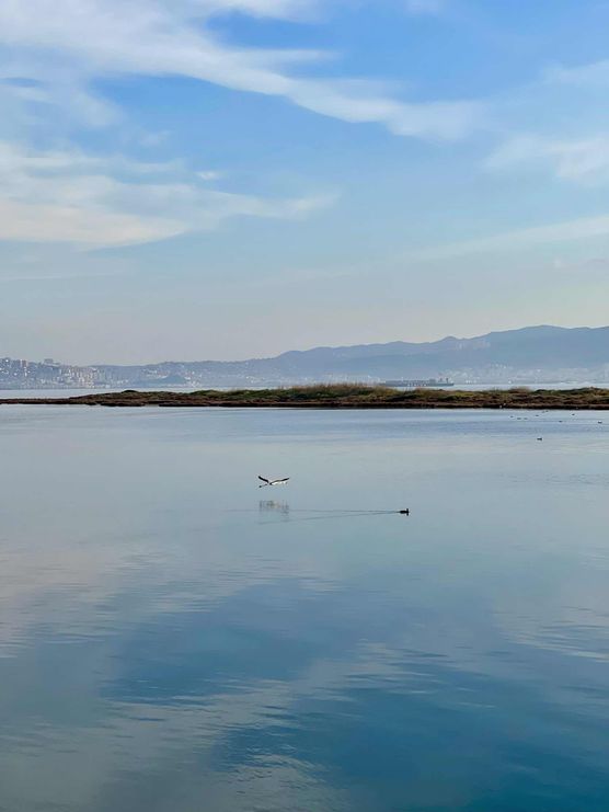 Bild von Beachhappy Bild von Beachhappy