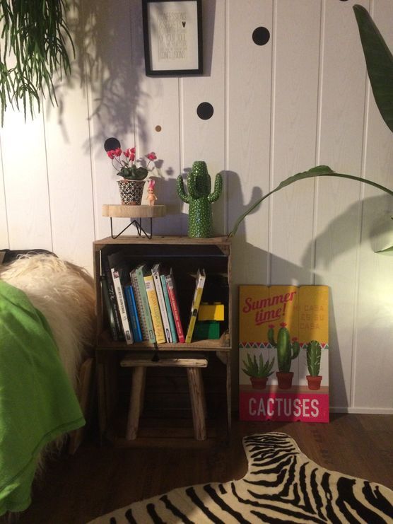 cactuses....... cactuses.......