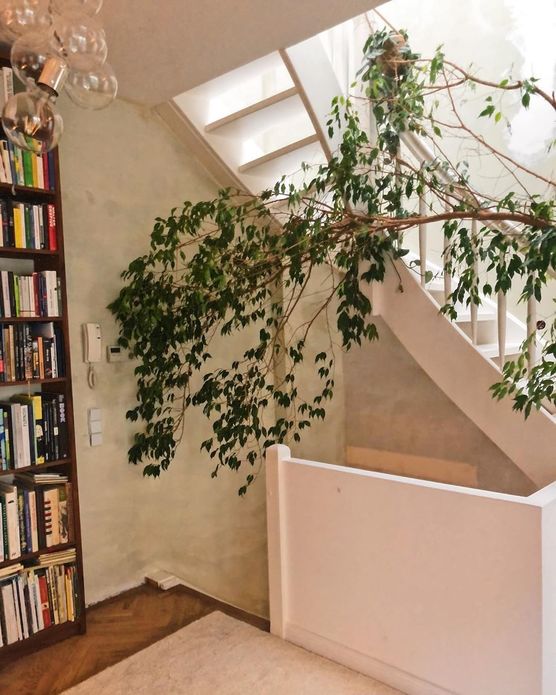 Wir haben Zuwachs bekommen. Wir haben Zuwachs bekommen.