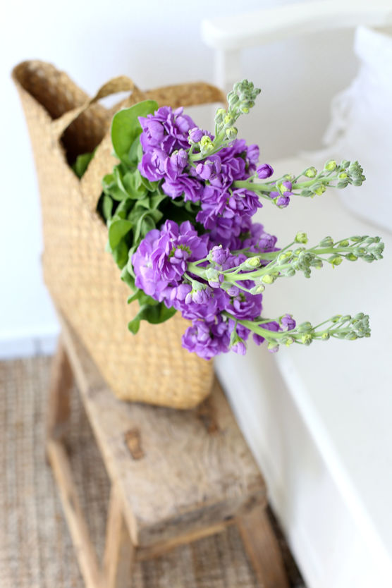 Bild von LovelyArts Bild von LovelyArts