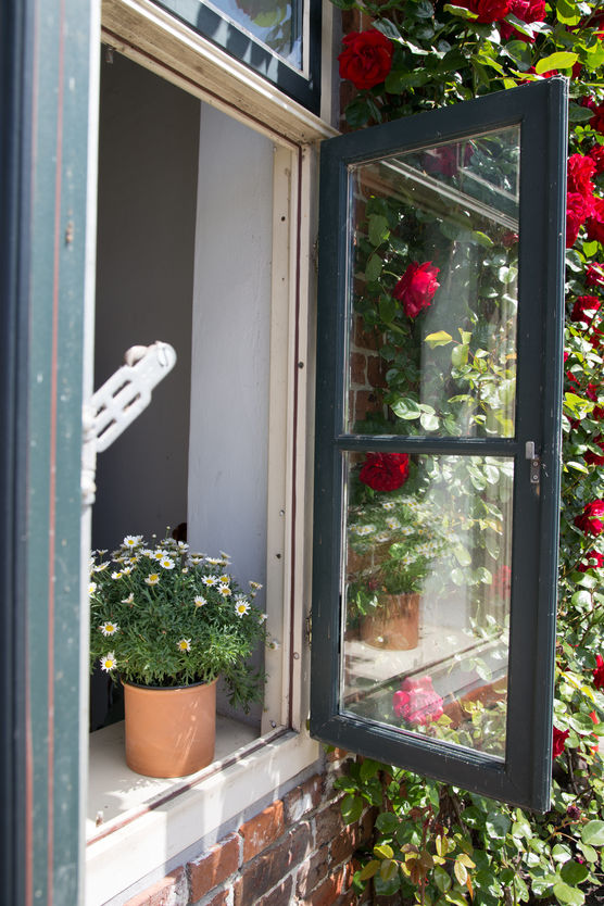 Bild von LovelyArts Bild von LovelyArts