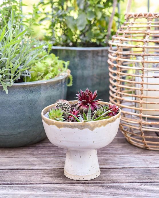 Ich hab jetzt schon Ich hab jetzt schon