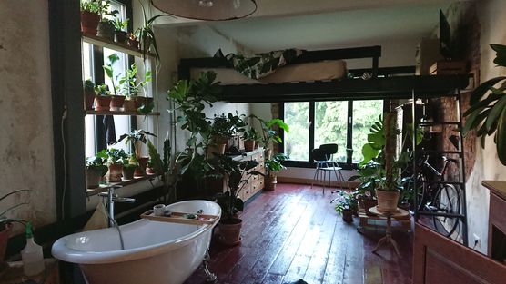 Schnappschuss aus meinem Dschungel Schnappschuss aus meinem Dschungel