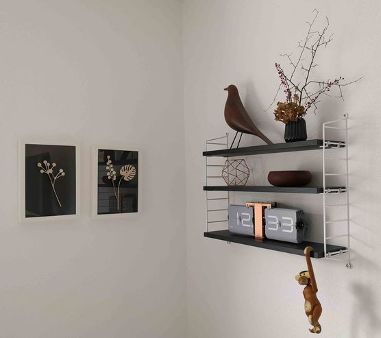 Bild von myrmex Bild von myrmex