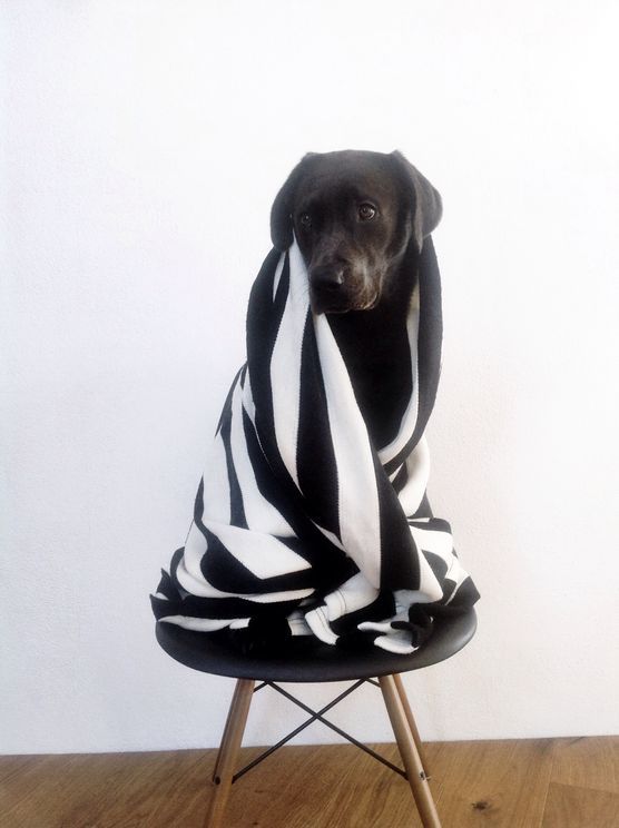 :: lilamilasfina :: :: lilamilasfina ::