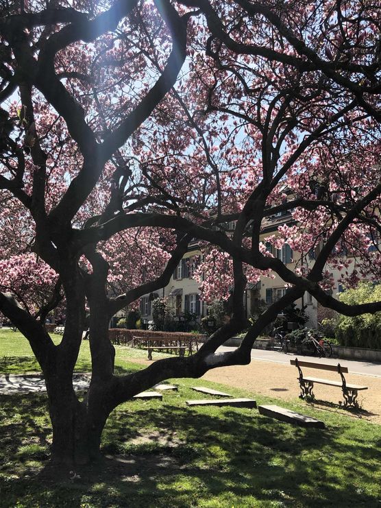 Bild von Tuschkasten Bild von Tuschkasten