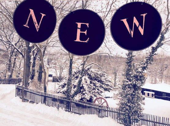 ••• NEW ••• ••• NEW •••