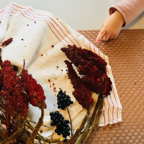 *** brush *** *** brush ***