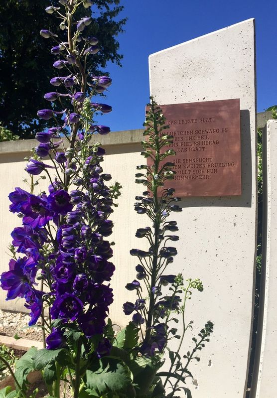 Das letzte Blatt
Ein Lüftchen Das letzte Blatt
Ein Lüftchen