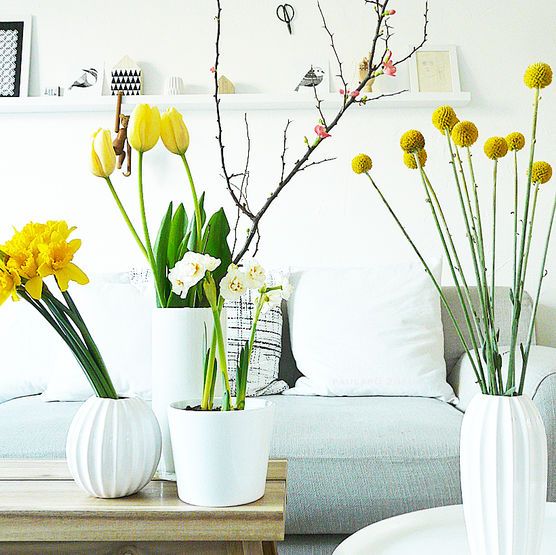 Jetzt hole ich mir den Frühling!!!! Fotofrage Jetzt hole ich mir den Frühling!!!! Fotofrage