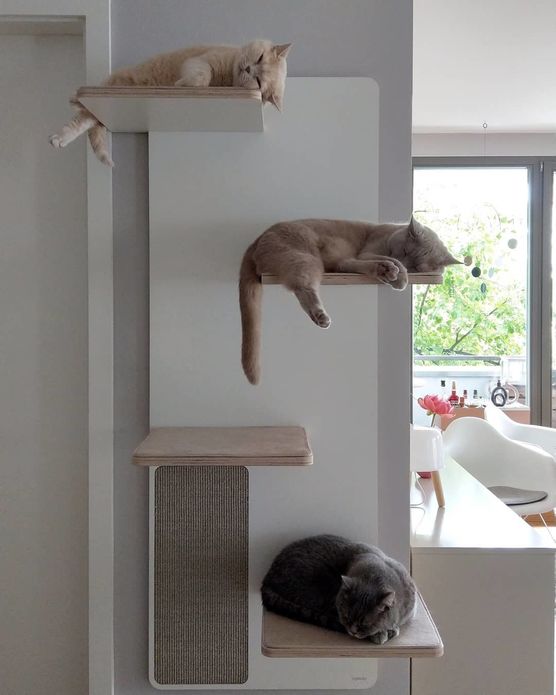 Die neue Kratzwand kommt Die neue Kratzwand kommt