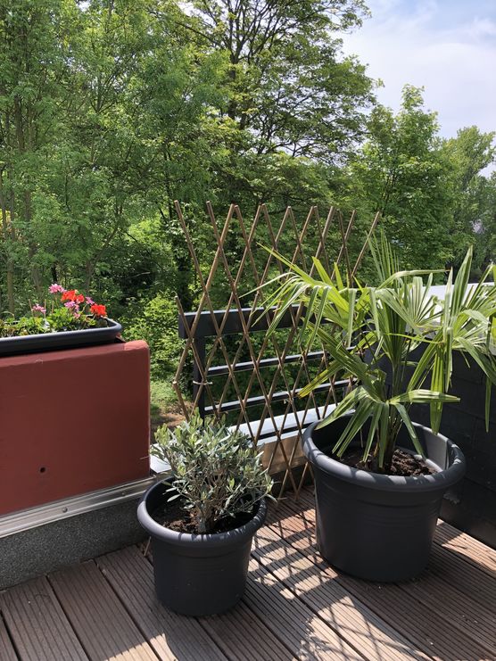 Bild von Hyazinthenlady Bild von Hyazinthenlady