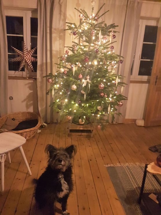 Es weihnachtet sehr... Es weihnachtet sehr...