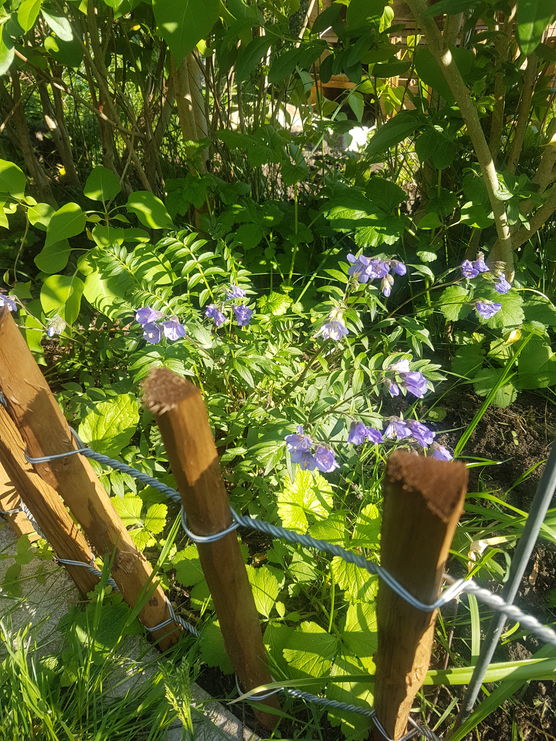 Die Heimat hat auch Die Heimat hat auch