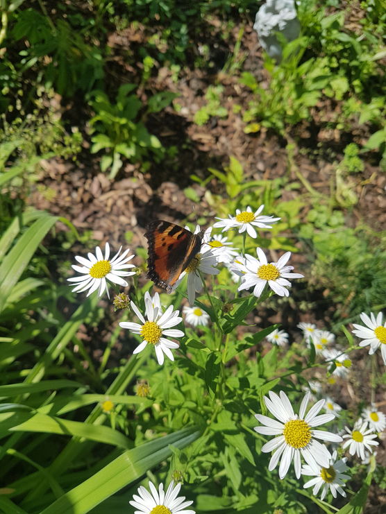 Huch, herzlich willkommen kleiner Huch, herzlich willkommen kleiner