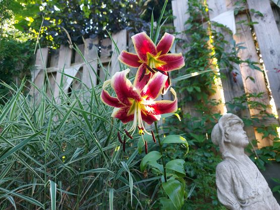 Meiner Meinung nach, werden Meiner Meinung nach, werden