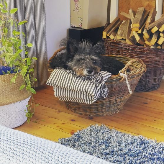 Warum in teure Schlafplätze Warum in teure Schlafplätze