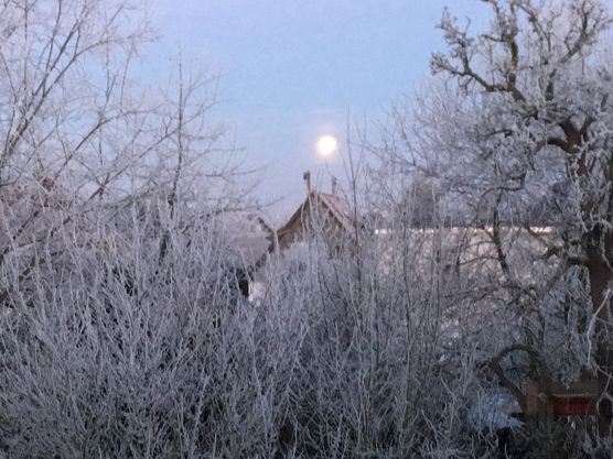 Bild von manki Bild von manki