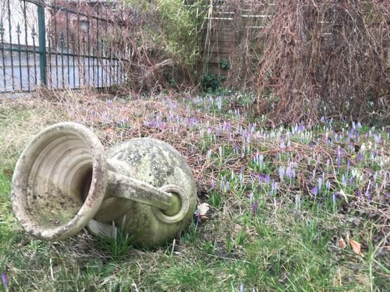 Bild von manki Bild von manki