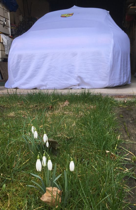 Bild von manki Bild von manki