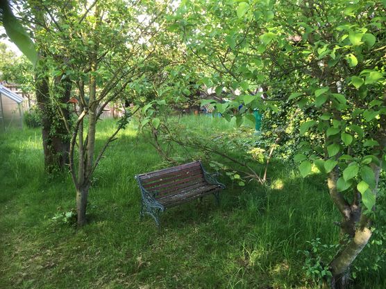 Bild von manki Bild von manki