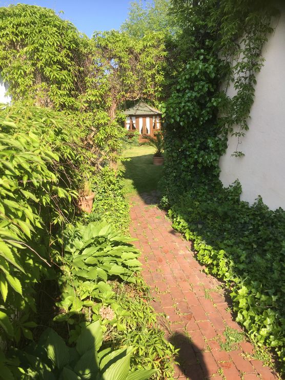 Bild von manki Bild von manki