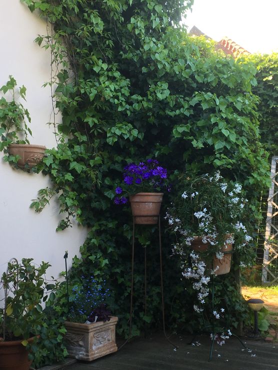 Bild von manki Bild von manki