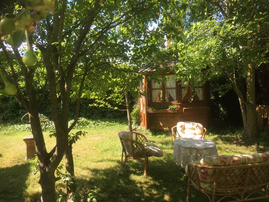 Sommerfeeling im Garten! Sommerfeeling im Garten!