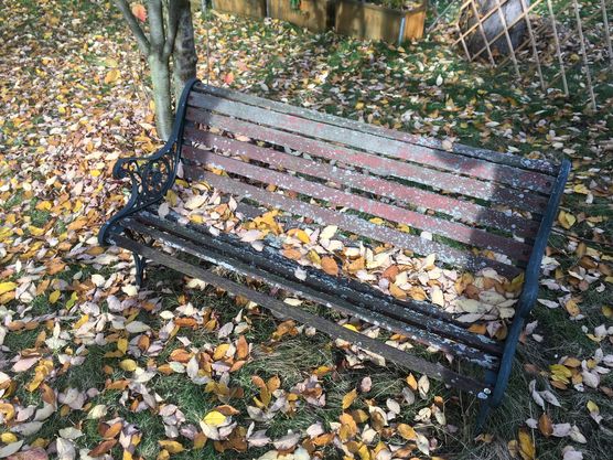 Bild von manki Bild von manki