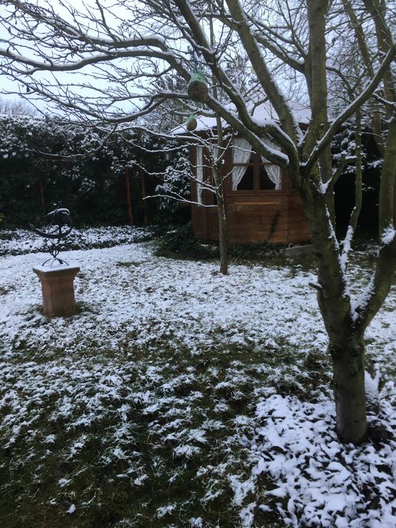 Bild von manki Bild von manki