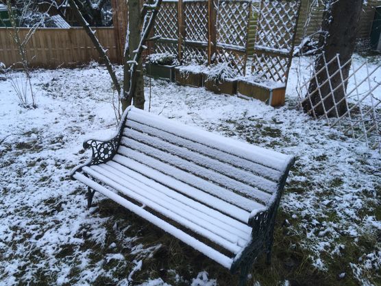 Bild von manki Bild von manki