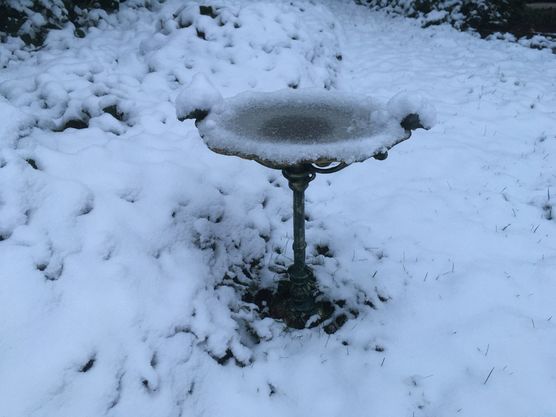 Bild von manki Bild von manki